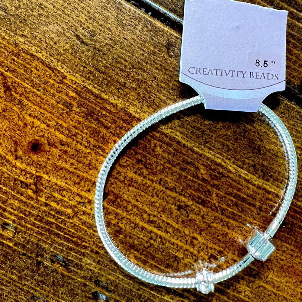 Pandora bracelet and 25 beads!